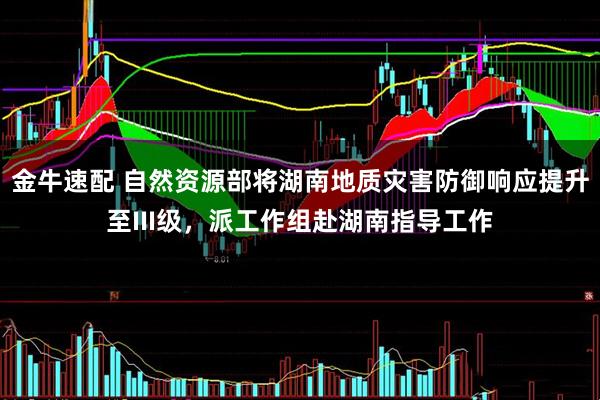 金牛速配 自然资源部将湖南地质灾害防御响应提升至III级，派工作组赴湖南指导工作
