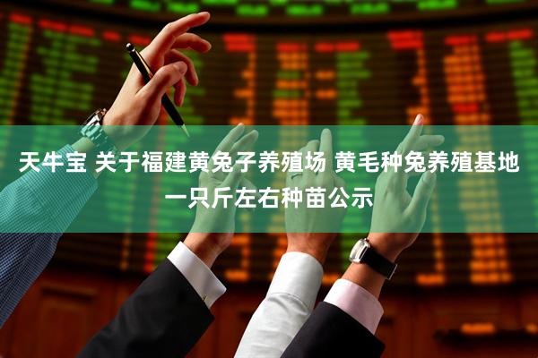 天牛宝 关于福建黄兔子养殖场 黄毛种兔养殖基地一只斤左右种苗公示