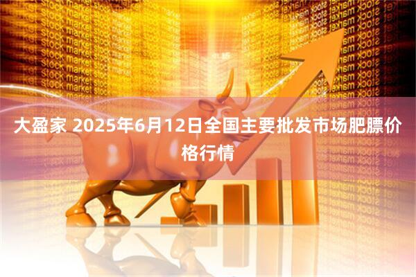 大盈家 2025年6月12日全国主要批发市场肥膘价格行情