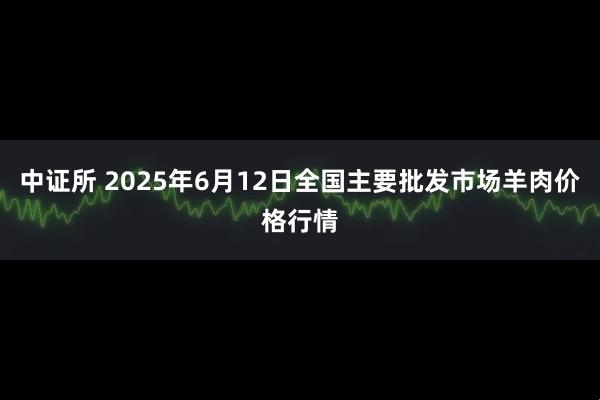 中证所 2025年6月12日全国主要批发市场羊肉价格行情