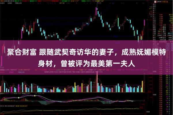 聚合财富 跟随武契奇访华的妻子，成熟妩媚模特身材，曾被评为最美第一夫人